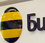 bee_340